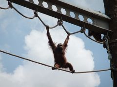 旭山動物園と登別温泉ドライブ　②／④