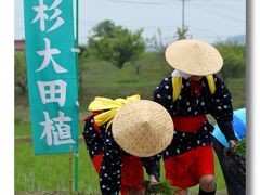 Solitary Journey ［1213］ テンポのいい田植え歌、大勢の早乙女さんがリズムよく苗を植えていきました。＜神杉大田植え＞広島県三次市