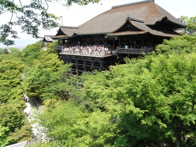 　京都へ所要で出かけることになった。用事は月曜日の午後からであったので、どうせなら日曜日から京都に行こうと考え、京都に入った。7:30東京発ののぞみに乗ると10:00前には京都に着く。<br />　さて、京都観光は修学旅行以来だが、修学旅行では清水寺には行かなかった。そこで清水寺を起点に歩いてみようと考えた。さて、京都駅からバスに乗って清水寺に行こうと考えたが、バス乗り場は長蛇の列。市バス206系統は臨時バスが出ていたので206系統に乗って清水寺へ。<br />　バス乗り場から、清水寺までは結構歩く。日ごろデスクワークでなまった身体には結構堪える。仁王門をくぐり、本堂へ。舞台に初めてたったが、舞台って傾いているのに気づく。雨が流れるような工夫なのだろうが、ここで舞うのは怖いだろうなぁ・・・<br />　本堂脇で御朱印をいただく。御朱印帳をここで買ったので、御朱印代はいいですよ、といわれた。ちょっとお得な気分になる。地主神社に寄ったが、既婚者には縁が無い・・・<br />　あとは延々あるいて音羽の滝へ。暑い盛りだからか、水枯れの季節だかはわからないが水量は少なかった。せっかくだからと30分ほどならんで水を飲んだが、タクシーの運ちゃんに連れられた客らしき集団が「ここは時間がかかるからパス」といわれていた。ガイド付きだと効率的に観光地は回れるだろうけど、自由が効かないんだよなぁ・・・<br />　無事清水をゲットしたものの、音羽の滝の前にあるという御朱印所がわからない。音羽の滝の前のお守りを売ってるおばちゃんに聞いてみた。<br />おいら：「この辺で御朱印がいただけるってきいたんですけど、どこでいただけるんですか？」<br />おばちゃん：「この辺だよ」<br />おいら：「建物が見当たらないんですが、どこなんですかね？」<br />おばちゃん：「ここ！」<br />はっきり言ってくれよ、おばちゃん。ファニーなおばちゃんのおかげで時間を食ったが、無事に御朱印をいただくことができた。<br />　清水寺を後にし、三年坂、二年坂を散策する。京都らしい風情ある佇まいが楽しめる。<br />　歩いていると、「坂本竜馬墓所」の看板を発見。特に竜馬マニアというわけではないが、これは行ってみようと看板の指す先へ。行ってみるとそこは護国神社だった。心臓破りの階段を上ると、見晴らしの良い場所にその墓はあった。浪士にしては立派な墓で、明治政府が坂本竜馬をどう考えていたかが伺える。（人脈って大切だね、といみじみ感じる。）<br />　途中、高台寺に寄ってみたが、豊臣家ゆかりの寺とのこと。あまり魅力を感じなかったのでスルー。円山公園に行く過程で、祇園女御の墓を発見。坂本竜馬よりよほど質素な墓だった。色即是空、空即是色の心境になる。<br />　円山公園を経由して知恩院へ。本堂は工事中だったが、無事御朱印はいただけた。知恩院を後にするが、階段が心臓破りの坂！足が悪い老齢の人だと転げ落ちるんでなかろうか？<br />　そこから歩いて建仁時へ。臨済宗の寺なので、曹洞宗の自分としてはちょっと親近感が沸く。枯山水の庭が見事でちょっと和む時間をすごす。国宝の風神雷神の屏風は必見だが、龍の天井画も一見の価値あり。ここでも御朱印をいただく。<br />　そこから歩いて六波羅密寺へ。ここでも御朱印をいただく。<br />　ここからはバスに乗り、三十三軒堂へ。一度来たことがあるが、やはり、これだけの仏像は圧巻。<br />　バスに乗り、京都駅へ戻ってこの日の旅は終了。