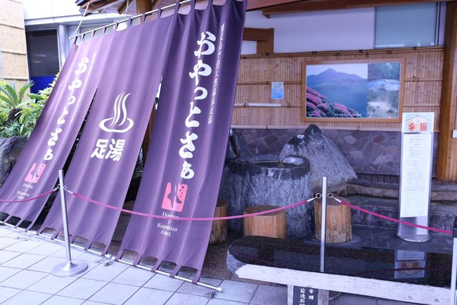 おやっとさぁ 1日目 鹿児島<br /><br />3ヶ月前から準備を始め梅雨に入る前に行けたら…<br />との願い空しく4日前に鹿児島は梅雨入り。<br /><br />青空の下の桜島を思い浮かべていただけにちょっと残念な気持ちで<br />旅がスタート。<br /><br />終わって見えれば…<br />この時期にしか味わえない九州を満喫出来た旅でした。<br /><br />