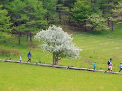 茅野から小布施、入笠山へ