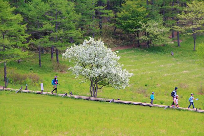 茅野から小布施、入笠山へ