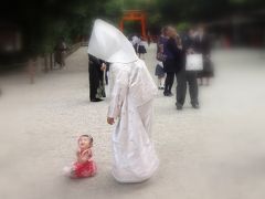 ６月、京の都の花嫁たち