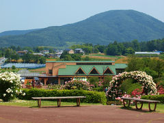 ２０１３　茨城県フラワーパーク　バラ祭りー２