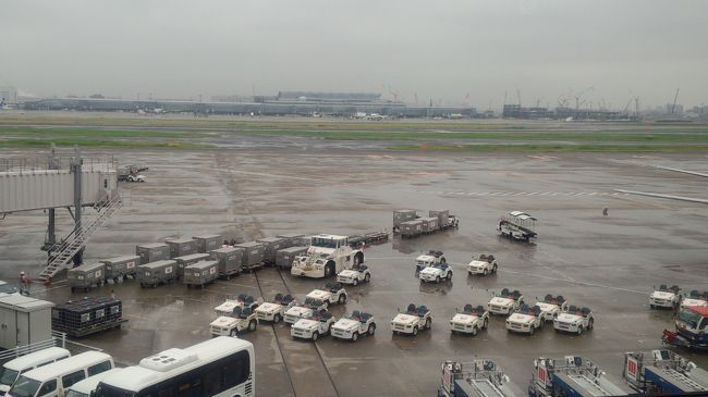 台風３号が東海沖に停滞してる中､空旅です。（苦笑）<br /><br />本日の予約便<br />毎度お馴染みのJAL 0115 羽田発 11：30 伊丹着 12：35<br />・・・でしたが、出発が約20分遅れ。<br />（台風3号とは関係無く別の原因での遅れ）<br /><br />台風3号の風の影響で伊丹への進入コースが通常と違いました。<br />最終アプローチは伊丹空港を右手に見ながら<br />北側からの進入で滑走路14Rに着陸。<br /><br /><br />関連旅行記<br /><br />【日本料理 なかのしま / ２０１３年 誕生月の夕食】<br />http://4travel.jp/traveler/arukass/album/10784481/<br /><br />【100万人のキャンドルナイト・西梅田ナイト　2013 Summer】<br />http://4travel.jp/traveler/arukass/album/10782676