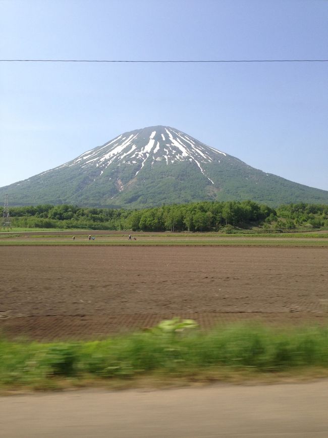 初夏のニセコエリアに出かけてきました。かなり定番の場所です。