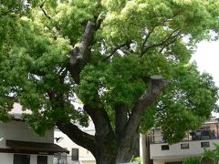 日本の旅　関西を歩く　大阪府寝屋川市八坂神社（やさか）神社周辺