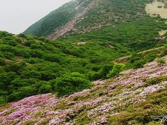 ミヤマキリシマを求めて九州の山旅と歴史の旅・・・②久住山に登る