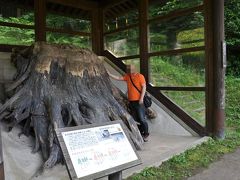 ６０年に１度の大遷宮　出雲大社へ参拝！　～まずは三瓶山～