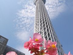 スカイツリー・東京定番スポットへ行ってみました