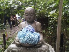 初夏の紫陽花 七変化 ,　あじさい寺　in 鎌倉　−　６月　　２０１３年