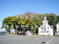 【2泊3日】日本の北で過ごす秋～3日目【女子旅】