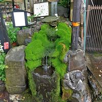 熊本学会旅行2-阿蘇リゾートグランヴィリオホテル，雨の中の阿蘇神社，宮地湧水群