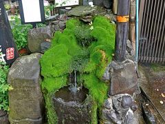 熊本学会旅行2-阿蘇リゾートグランヴィリオホテル，雨の中の阿蘇神社，宮地湧水群