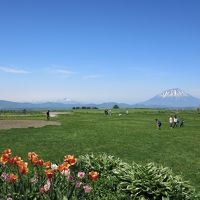 梅雨なし北海道弾丸ツアー！