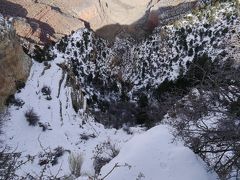 冬のカリフォルニアの風♪４自然の驚異！！