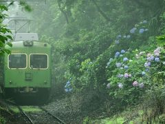 銚子電鉄のあじさい電車に乗ってあじさいの花を見に訪れてみた