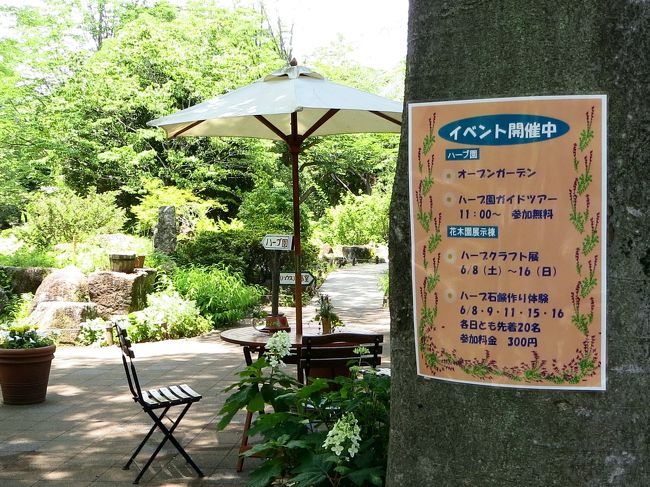 Japan　昭和記念公園　2013　ハーブガーデンのフェスタ　～ミツバチばあやの冒険～