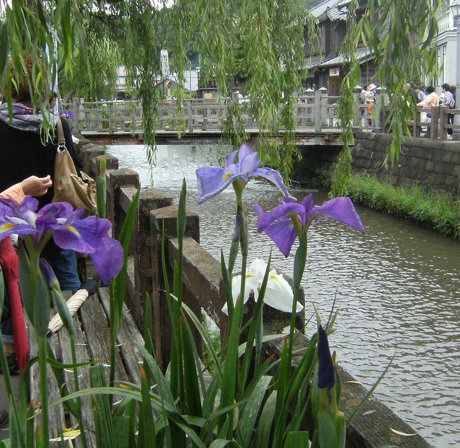 水郷の旅、最終目的地は佐原、小野川沿いを散策後、伊能記念館へ