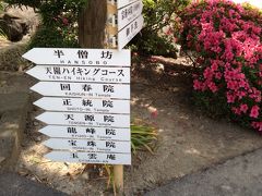 Road to Yakushima ２ / 天園ハイキングコース　鎌倉