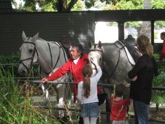 2013ＮＺ エラズリー競馬場に行って、ついでに１泊してきました！