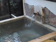 平山温泉でとろとろのお湯を満喫　２０１３梅雨