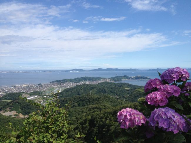 三ヶ根山の紫陽花祭りも終盤を迎えているかと出掛けて来ました。<br /><br />数年前に出掛けた時は、三ヶ根山有料道路の側面の所々に植樹されていた紫陽花も、今回は頂上までの多くを紫陽花が植えられていて、また紫陽花の周辺の雑草も刈り取られ祭りに相応しく手入れもされていました。<br /><br />頂上付近では地元の方々が売店を含めたイベントが開催されていました。