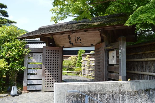 ふと思い立って日帰りで箱根へ。<br /><br />新宿からロマンスカーに乗り、鯵の押寿しを食べる。<br />朝から旅気分を味わいました。<br /><br />箱根に到着してすぐにバスで天山湯治郷へ。<br /><br />温泉と湯上りをのんびり過ごしてから、昼食に蕎麦を。<br /><br />その後、箱根登山電車で強羅へ。<br /><br />箱根登山ケーブルカー、箱根ロープウェイで大涌谷と芦ノ湖へ。<br /><br />芦ノ湖で海賊船に乗った後は、バスで箱根湯本に。<br /><br />温泉まんじゅうやソフトクリームを食べ歩きしながら散策。<br /><br />予約していた帰りのロマンスカーまで時間があったので、急遽小田原城を見てきました。<br /><br />帰りはロマンスカーの先頭の展望席で。<br /><br />箱根を満喫できたけど、いろんなとこをまわったので若干疲れました。<br />今度は温泉と美味しい料理だけでのんびりしようかな。