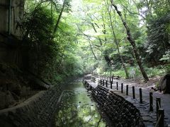 梅雨晴れの東京散策：等々力渓谷～九品仏ほか