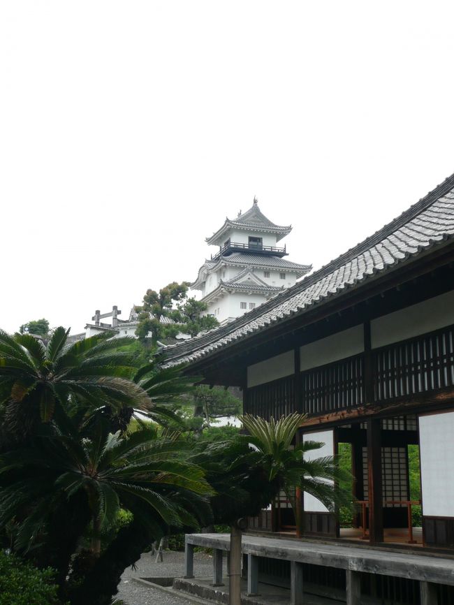 加茂花菖蒲園に午前中、行ってきました。<br /><br />そして、掛川城を攻めました。木造で復元された天守や、現存する御殿など見所がいっぱいです。<br /><br />加茂花菖蒲園の様子はこちらです。<br />http://4travel.jp/traveler/oosaka_hiro3/album/10784595/