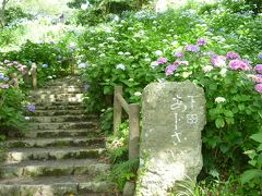 伊豆下田　（下田公園のあじさい）