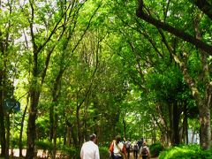 流山Walk-1 　流山おおたかの森駅から流山駅へ　　☆整備が進む住宅地を通って