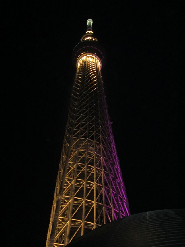 JALでわずか1時間半。あっという間に東京へ。<br /><br />人形町駅近くのホテルフロントへ荷物を預け、遅めの昼食。<br />「小諸そば駅前店」で、さっぱりと食べられそうな期間限定の<br />「揚げ茄子おろしそば・いなりセット」をチョイス。<br />メインのそばは、ちょっと硬めでしたが、味はしっかりしていて<br />旨味がありました。<br /><br />まずは「スカイツリー」見学。<br />2か月前予約で、17時半を予約。高齢の母のために車椅子を借り、<br />スムーズに入場できました。当日券でずらっと並んでいる方を尻目に…。<br /><br />展望シャトル壁面の桜の花が綺麗。まだ明るいので展望も良好。<br />さらに、シースルー展望シャトルであっと言う間に展望回廊へ。<br />坂道をぐるっと廻った後、フロア345まで戻ってお土産購入。<br />フロア340ではガラス床を歩き、その隣のガラス床で記念撮影。<br />手持ちのデジカメでも撮影してくれます。<br /><br />展望シャトル内壁面の隅田川の花火に感激しながら降り、<br />ツリーを背景に撮影してくれる記念撮影場所を探し、<br />ソラマチ8Fの「ドームガーデン」に辿り着き、<br />後15分でライトアップしますと教えていただきました。<br /><br />隣のビル壁面に写ったツリーに感動し、一旦、ソラマチ7Fに戻り、<br />「洋食屋銀座グリルカーディナル」で「フォアグラ・ハンバーグ」<br />「シーフードサラダ」に舌鼓を打ち、6Fの「祗園辻利」で<br />「スカイツリースプーン」をお土産用に大量購入。<br /><br />最後に、8Fの「ドームガーデン」に戻ってライトアップツリーを背景に<br />記念撮影。21時まで結構堪能できました。<br /><br />宿泊は、「西鉄イン日本橋」。<br />シングル料金でもセミダブルベッドなので、ゆったり眠れるし、<br />駅から3分の好立地なのに、静かな環境で、ぐっすり爆睡できます。<br />息子夫婦は、ゆったりキングサイズダブルに宿泊してましたが、<br />こちらも快適そうでした。<br />朝食付き。焼きたてパン以外のメニューが増えていて、<br />おにぎり、いなり、卵焼き、味噌汁、サラダ、ウィンナー…。<br />各種ジュースもあり、和洋バイキングと言っても良いぐらいでした。<br />挽き立てコーヒーは格別で、おかわり必須。<br />また、利用したいホテルです。<br /><br />翌日は都内見物。<br />ネット検索していた「たびの足」でジャンボタクシーをチャーター。<br />少し足が不自由な母のために車椅子も借り、親切なドライバーの<br />おかげで、赤レンガの東京駅、皇居、国会議事堂、迎賓館、歌舞伎座、<br />赤坂、六本木、池袋、東京ドーム、息子の勤務先ビルなどを廻り、<br />「レインボーブリッジ」経由でお台場へ。<br /><br />昼食は、予定していた「玉寿司」の待ち時間が長そうだったので<br />「つきじ植むら」に変更。<br />暑い時期に、鍋はいかがなものかと思いましたが、<br />この季節だからこそ、90分1,980円で食べ放題。<br />「しゃぶしゃぶ」か「すき焼き」が選べます。<br />さすが、「つきじ植むら」のお肉。牛も豚も良し。<br />野菜もたっぷり。この価格ならコスパ最高です。<br />食べ過ぎて苦しくなりましたが、予算の半額で済みました。<br />オススメです。<br /><br />さらに、フジTV、ガンダム、ダイバーシティ東京プラザへ。<br /><br />歩き疲れ、2Fの「Kate Rose Cafe」で、しばしスイーツ休憩。<br />フードコートは満員で座れなかったので、<br />ここなら、待ち時間が少なそうだったから。<br />「ショコラのパウンドケーキとバニラジェラート」のはずだけど、<br />ジェラートと言うよりバニラアイスと思ってしまうような味。残念。<br />でも、さすがに、店員さんは可愛い子揃い。<br />ユニホームも可愛いし、化粧も上手。<br />ここは東京だなと思う瞬間でした。<br /><br />ショッピングでは、孫へ「ミッキーのぬいぐるみ」。<br />ABCマートで、履き心地の良い「革製バレエパンプス」購入。<br /><br />まだ、お腹いっぱいだったけれど、、<br />夜景を見るための時間つぶしもあって、<br />夕食は「北陸富山回転寿司 PREMIUM 海王」へ。<br />新幹線がお寿司を運んできてくれました。<br /><br />やがて、暗くなり「パレットタウン大観覧車」での夜景、<br />すごく楽しめました。<br /><br />最終日も引き続き、ジャンボタクシーをチャーター。<br />高速で鎌倉まで。<br />高速を降りると、一車線の地点では混み合います。<br />散策するのには、人力車のほうが趣があってピッタリですが、<br />母が少し足が不自由なので、車椅子を利用しながら<br />タクシーで周遊しました。<br />孫へのお土産に、ここでは「アンパンマンのディバッグ」。<br />お寺などの観光地で高齢の方が多いので、<br />やはり、孫へのお土産用に置いてあるそうです。納得。<br /><br />それから、「山下公園」でリフレッシュ。<br />岸壁には氷川丸が係留されていて、その向こうに「ベイブリッジ」。<br />港を行き交う船。<br />潮の香り、潮風が心地よい。<br />「赤い靴履いてた女の子像」の側には綺麗な花が咲き乱れ、<br />マリンタワーも見え、横浜中華街も近く、<br />観光も食事もセットのコースにピッタリです。<br /><br />横浜中華街では「フカヒレランチ」。<br />時間が限られていたので、ネット検索していた「招福門」へ。<br />ここは、ちょっと予想を外していまいました。<br /><br />残り時間で中華街を歩きながら食べた、出来たて「小籠包」や<br />「パンダまん」が美味しかったです。<br />出来たて「小籠包」はジューシーでした。<br />息子は、さらに「フカヒレスープ」も買って、飲みながら歩いてました。<br /><br /><br />…グルメ系で、感じた事がひとつ。<br />混んでいる店、行列店には、並ぶだけの良さがあるって言う事。<br />あまり混んでいない店は、それなりって事です。<br />どこ行っても、通じることでしょうが…<br /><br />そして、高速20分で羽田へ。横浜って近いんですね。<br />たっぷり、楽しめた3日間でした。<br />