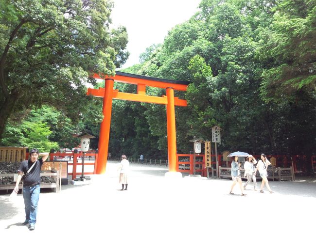 京都旅行は昨秋から始めました。<br />仕事では何回か行きましたがいつも日帰りでした。<br />昨秋の紅葉に続き夏ですのでメインは保津川下りを計画しました。<br />日程の前後は移動日となります。初日は河原町から下鴨神社・上賀茂神社・平安神宮など回りました。<br />平安神宮の神苑は必見です。<br />翌日は嵐山で天龍寺と篩月で精進料理をいただきました。<br />ポスター等で何回か見ましたが竹林を眺め、トロッコ亀岡まで行きました。<br />トロッコは当日チケットを買いましたが運よく5号車の席が取れました。<br />5号車は窓ガラスがなく開放感がいっぱいです。<br />川下りですが一番前に座れたので船頭さんのトークもよき聞こえます。<br />また道中でシカやサルを見ることができました。<br />当日は水嵩も少なく普通だと1時間くらいらしいですが2時間かかりました。<br />水嵩のある頃にまた乗船したいと思います。迫力あるようです。<br /><br />