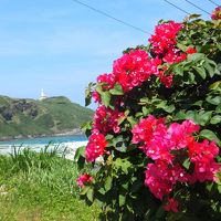 絶海の孤島　与那国で　まったりと癒される。