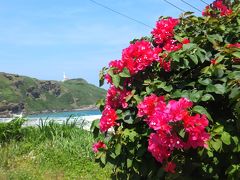 絶海の孤島　与那国で　まったりと癒される。