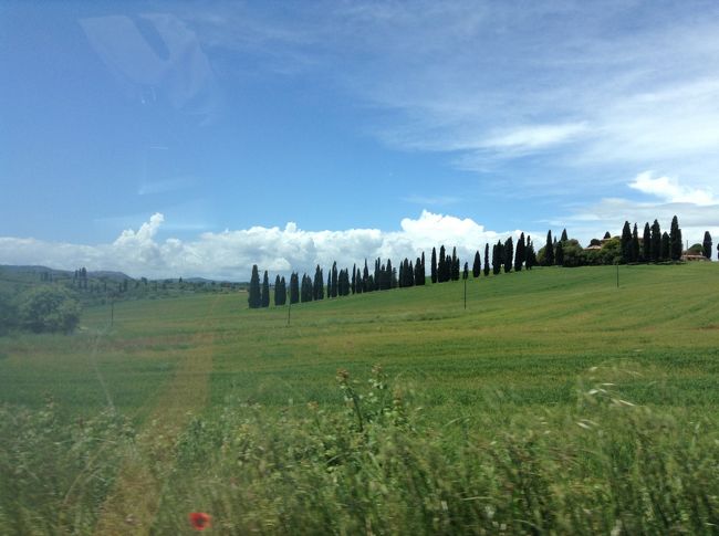 ジジ・ババ　レンタカーでまわるトスカーナの旅ーFirenze Siena Montepulciano Assisi