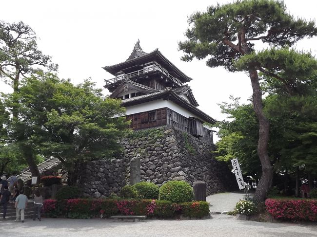 山城ではないですが、お城でお散歩シリーズとして丸岡城に行ってきました。<br /><br />ただ、周辺は抱っこしなければならずお散歩にならない・・<br /><br />帰りに今庄宿をお散歩してきました♪