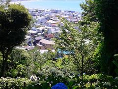 梅雨入り直後の鎌倉～あじさい咲いたかな？ぶらり日帰り旅～