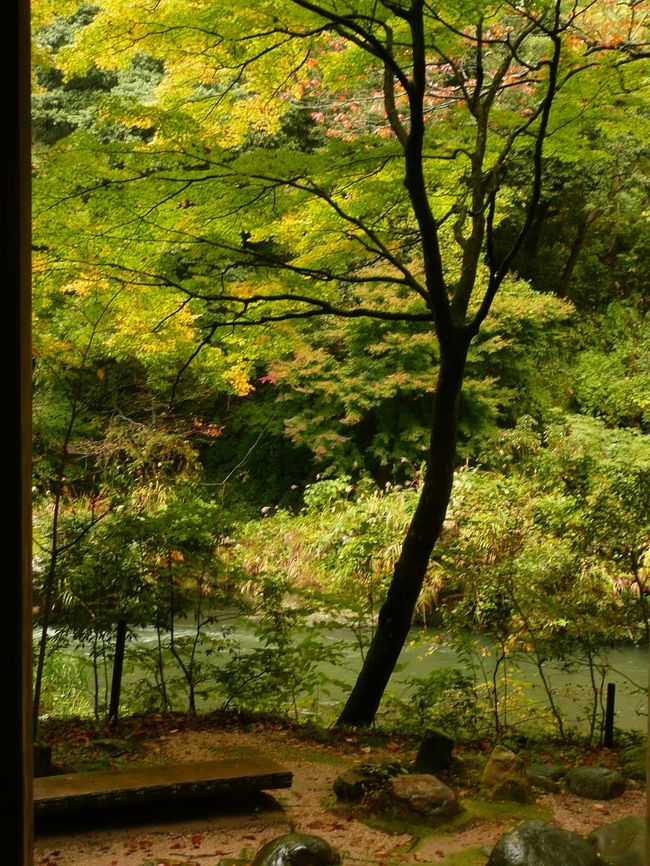 四日目午後。<br />福井の情報を何も持っていなかったので、帰りの事も考え石川県に戻る事にした。<br />一般道で加賀温泉郷・中山温泉を目指す。<br />途中、九谷焼美術館の看板を見つけ、しばしの癒しタイム。<br />その後、鶴仙渓を散策。<br />あやとりはしを目指し水と緑を楽しみながら歩いていたら、またもや雷雨&ヒョウの嵐。<br />東屋を見つけ暫し雨宿りをしたものの時既に遅し。<br />ずぶ濡れになり、もうこれは冷え切った体を温泉で温めるしか無い!との結論。<br />車に戻り宿を検索すると、当日キャンセルが出たらしく、こおろぎ町で一件激安宿を発見。<br />一泊二食付で一人6800円也!<br />ネット予約から5分後にはチェックインという荒技(笑)<br />部屋に荷物を置くと、荷解きもそこそこに大浴場へ。<br />ほわ〜温まる〜♪<br /><br />県道7号線→国道305号線<br />途中、図書館前交差点右折し石川県九谷焼美術館へ立ち寄り<br />国道305号線黒瀬交差点直進し国道364号線→こおろぎ町交差点左折し県道39号線<br />無限庵駐車場に駐車し、鶴仙渓を散策<br />走行距離 約40km