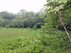 草花の宝庫　　　籾 糠 山 と 天生湿原 　