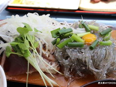 横須賀から逗子小坪の漁港食堂に生しらすと蛸丸ごと食べに行ってきま～す（ゆうき食堂）前編