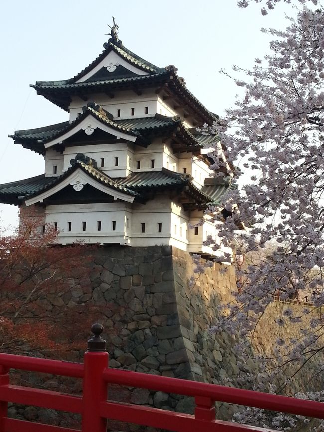 またまた弘前のお花見、夜桜の次は朝日の中の桜。<br /><br />あんなにクタクタだったのに４時前からパッチリ目覚めてしまった。<br />これは歳のせい？<br />絶対足が痛くなると思っていたのになんともない。<br /><br />娘に声をかけるが起きる気配はない。<br /><br />よし！<br />１人で公園まで散歩に行こう！！