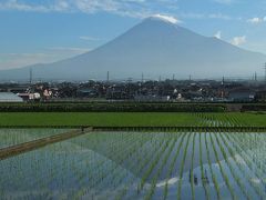 富士山世界遺産登録される日に…　=１．朝の散歩で=