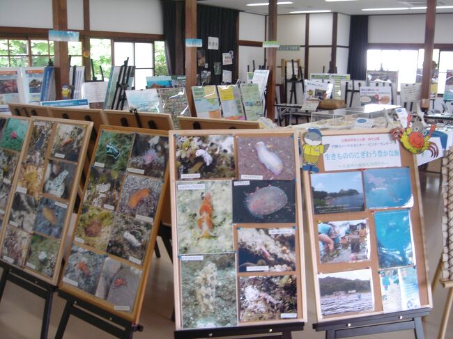 ご訪問ありがとうございます。<br /><br />京都御苑内の閑院宮(かんいんのみや)において環境省主催の近畿地方の国立公園展開催。<br />特に美しい海に生息する、うみうしが沢山紹介されました。<br />初めてうみうしを見たのは、淡路島の休暇村南淡路の桟橋付近でしたでした。<br /><br />閑院宮は第2次世界大戦後の昭和24年、京都御苑が国民公園となってからは、厚生省、のちに環境庁の京都御苑管理事務所などに使用されていました。平成18年3月に改修工事を終え、京都御苑の自然と歴史についての写真・絵図・展示品・解説を備えた収納展示室と庭園などを開放。<br /><br />日本では自然公園法に基づき、日本を代表する自然の風景地を保護し利用の促進を図る目的で、環境大臣が指定する自然公園のひとつである。国定公園が都道府県に管理を委託されるのに対し、国立公園は国(環境省)自らが管理する。日本の国立公園の面積の約60%が国有地。<br /><br />環境省自然系のレンジャー、アクティブレンジャー職員は希望ある探求にあふれています。そしてその若い職員達が全国の国立公園のフィールドで活躍中です。
