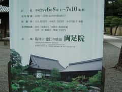 「～両足院～半夏生（はんげしょう）を見に、ぶらりぶらり京都」