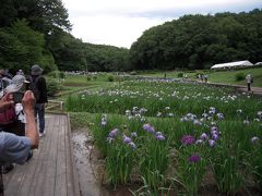 有料とは珍しい花菖蒲園に行く