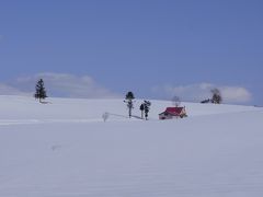 雪景色の美瑛丘巡り