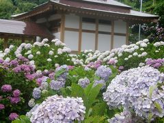 東京湾アクアラインで行く南房総の旅・・・後篇