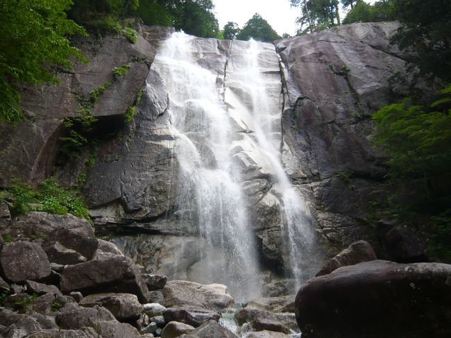 日本の滝百選に選ばれている「田立の滝」（ただちのたき）の瀑布群を巡り、天然公園（標高1,580m）を経て、「柿其渓谷」（かきぞれけいこく）の滝を巡りました。<br /><br />田立の滝の案内図<br />http://www.town.nagiso.nagano.jp/data/open/cnt/3/3238/1/tadachinotakiura.pdf<br /><br />柿其渓谷の散策マップ<br />http://www.town.nagiso.nagano.jp/data/open/cnt/3/3238/1/kakizorechizu.pdf<br /><br />＜行程＞<br />→JR田立駅8:01（鉄道）<br />田立駅8:03→8:47キャンプ場→9:00うるう滝→9:24粒栗駐車場→9:57らせん滝10:06→10:15霧ヶ滝→10:21天河滝10:24→10:36不動滝→10:40瀧ヶ瀬→10:47そうめん滝→10:59不動岩展望台→11:07素掘トンネル→11:13避難小屋→11:40登り口→11:54天然公園12:04→12:33林道合流点→13:34忠兵衛峡→13:57雷の滝14:02→14:12カモシカ帰り→14:22虹ヶ滝→14:25霧ヶ滝14:28→14:50林道入口→15:10恋路のつり橋→15:21牛ヶ滝→15:31恋路のつり橋→16:01柿其水路橋→16:05柿其橋→16:16十二兼駅（徒歩）<br />JR十二兼駅16:25→（鉄道）